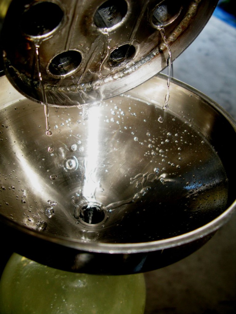 Managing the temperature of the still’s condenser, in a manual system of distillation, is a task which requires the distiller’s care and vigilance. The sparkle of distillate sputtering out the condenser pipes, indicates it is appropriately cool. If allowed to overheat the distillate will emerge as vapour and precious essential oil will be lost.