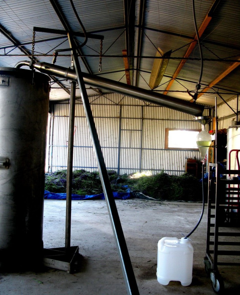 The still in operation – control of the still is manual and demands skill and vigilance.  It is necessary to distil in an open but protected shed.  The white cube is for tapping off the hydrosol. 