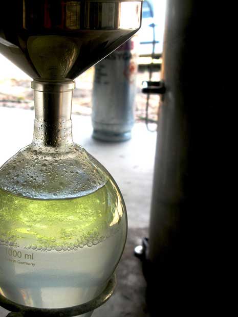 Sometimes, hydrosol (water solution) is called ‘hydrolat’ (milky water). This image shows this initial milky appearance, which results from the slightly warm distillate entering the flask as a temporary emulsion (combination of oil and water). As the distillate cools and the specific gravity of the oil and water take natural effect the hydrosol takes on its crystal clear character.