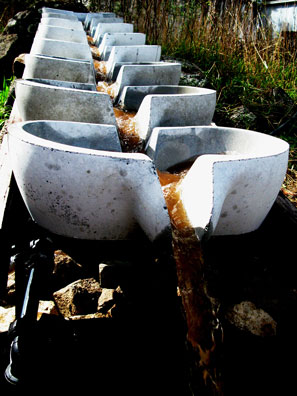 Unique to bio-dynamics are special biologically active preparations which are stirred and sprayed out at times guided by a very specific cosmological understanding. The flow form is one way of stirring the preparations. Preparations are run through the flow form for an hour during this time it is energised and becoming silky to feel. The preparation will be sprayed out within an hour of being stirred.