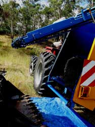 A tarp is placed under the hopper to catch flower spill before the Bobcat bucket is positioned under the conveyor to receive the flower