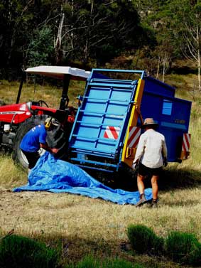 Machinery make gathering flower a two person job