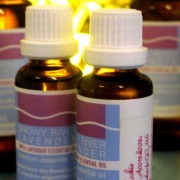 Lavender Essential Oil – L. angustifolia Cookie 2