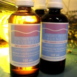 Lavandin Essential Oil - L. x intermedia Foundation