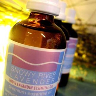 Lavandin Essential Oil - L. x intermedia Margaret