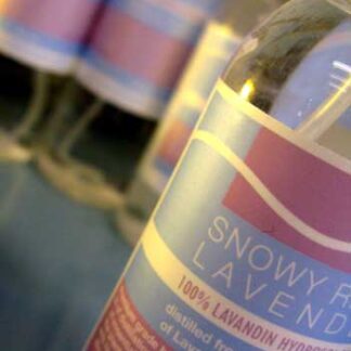 Lavandin Hydrosol - L. x intermedia Grosso