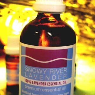 Lavender Essential Oil - L. angustifolia Bee