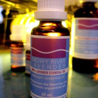 Lavender Essential Oil - L. angustifolia Maillette