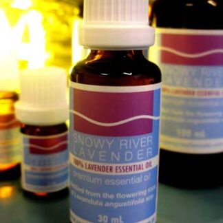 Lavender Essential Oil - L. angustifolia Signature (Limited Edition)