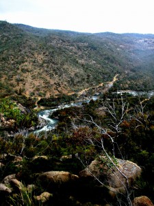 The meander of the Snowy River